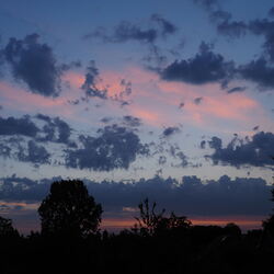 Paysages